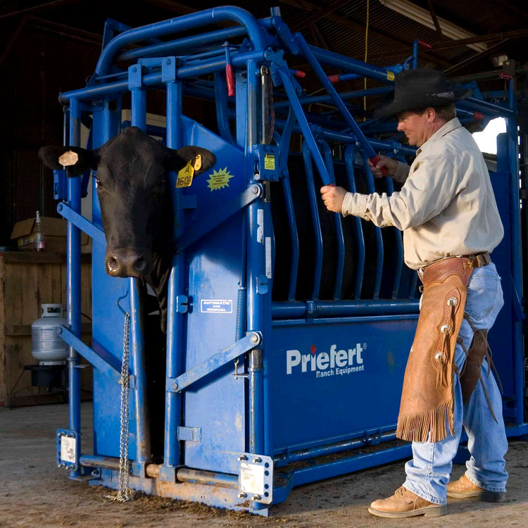 Cattle Chutes