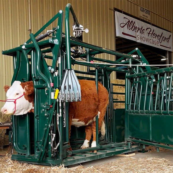 Hydraulic Cattle Chutes