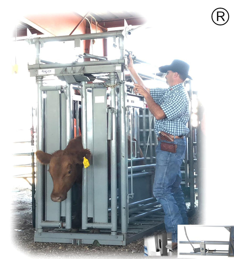 Manual Cattle Chutes